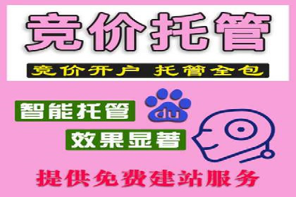成功SEM专员案例分析